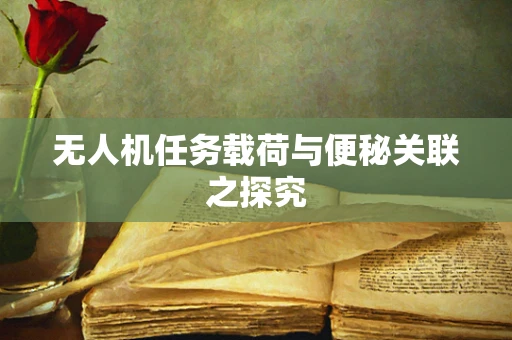 无人机任务载荷与便秘关联之探究