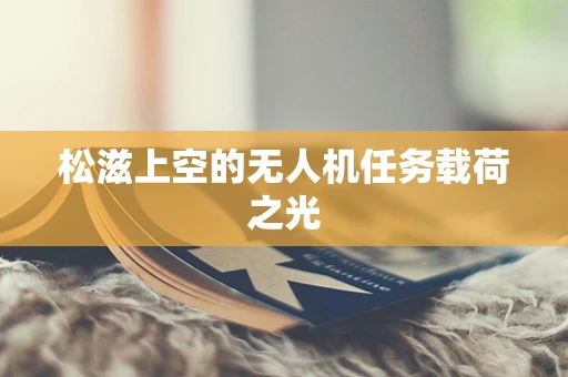 松滋上空的无人机任务载荷之光