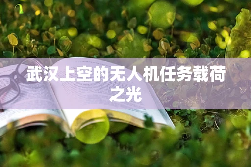 武汉上空的无人机任务载荷之光