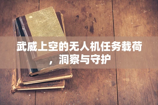 武威上空的无人机任务载荷，洞察与守护