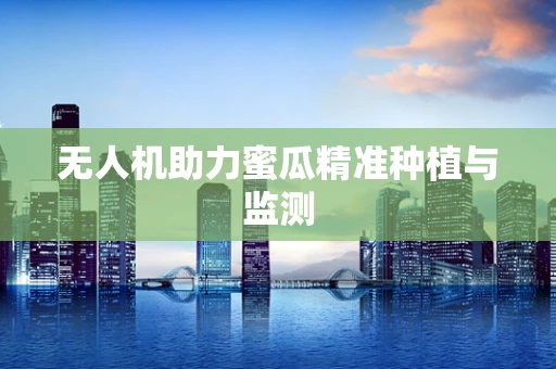 无人机助力蜜瓜精准种植与监测