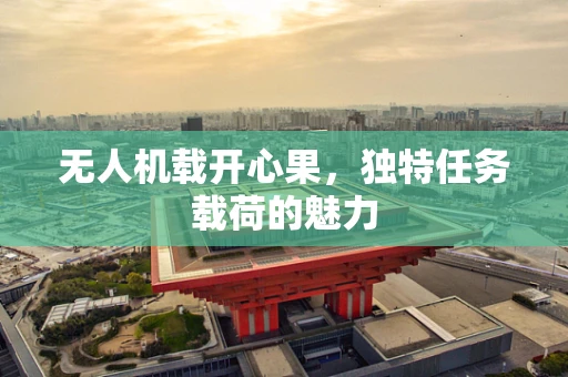 无人机载开心果，独特任务载荷的魅力