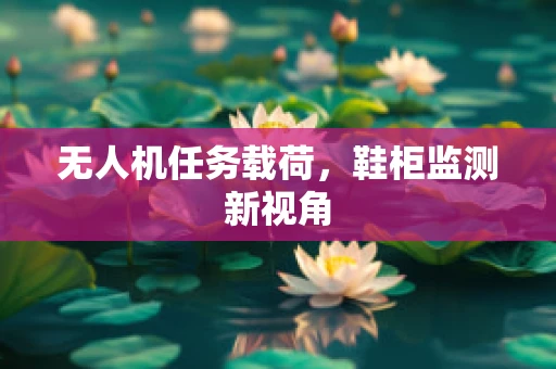 无人机任务载荷，鞋柜监测新视角