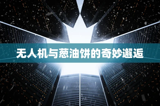 无人机与葱油饼的奇妙邂逅