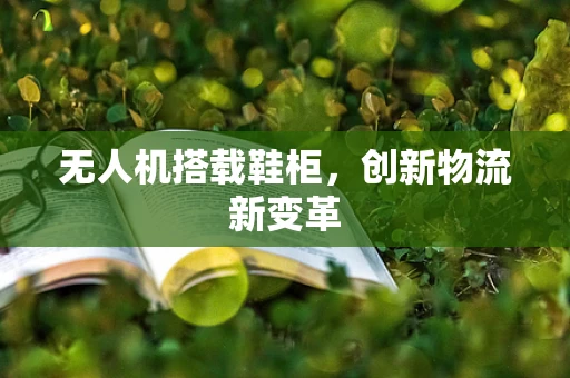 无人机搭载鞋柜，创新物流新变革