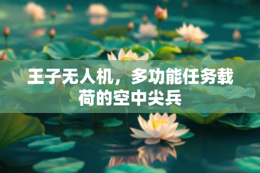 王子无人机，多功能任务载荷的空中尖兵