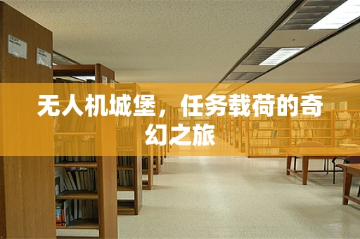 无人机城堡，任务载荷的奇幻之旅