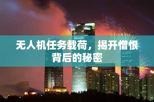 无人机任务载荷，揭开憎恨背后的秘密