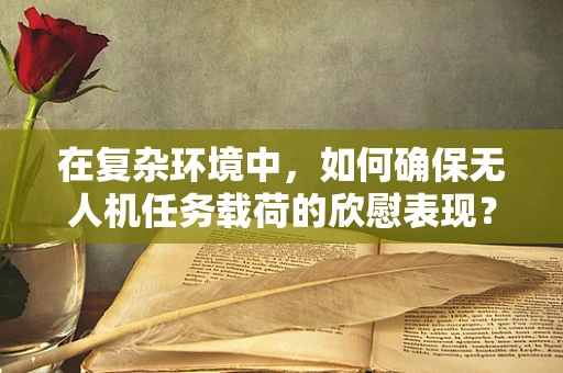 在复杂环境中，如何确保无人机任务载荷的欣慰表现？