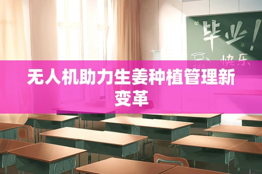 无人机助力生姜种植管理新变革