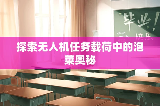 探索无人机任务载荷中的泡菜奥秘