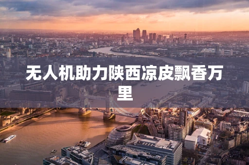 无人机助力陕西凉皮飘香万里