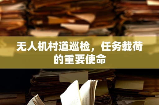 无人机村道巡检，任务载荷的重要使命