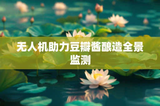 无人机助力豆瓣酱酿造全景监测