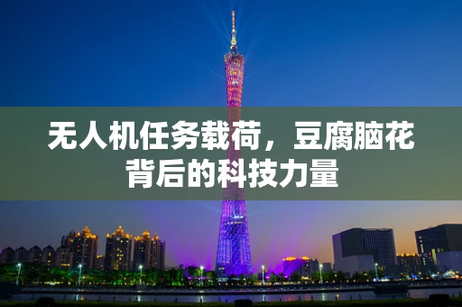 无人机任务载荷，豆腐脑花背后的科技力量