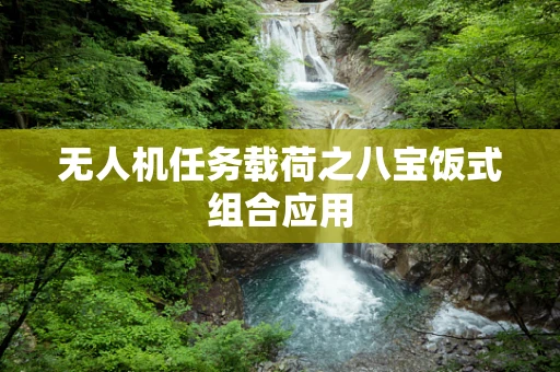 无人机任务载荷之八宝饭式组合应用