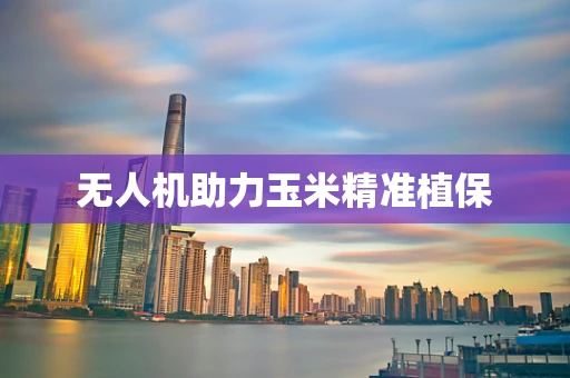无人机助力玉米精准植保