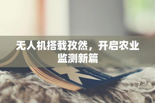 无人机搭载孜然，开启农业监测新篇