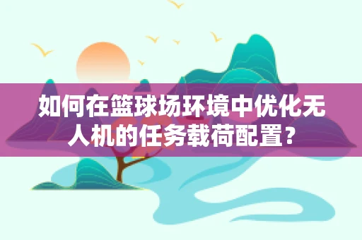 如何在篮球场环境中优化无人机的任务载荷配置？