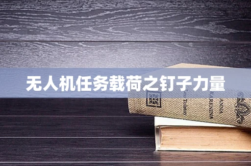 无人机任务载荷之钉子力量