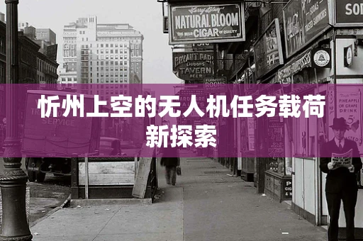 忻州上空的无人机任务载荷新探索