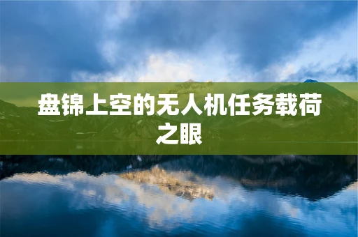 盘锦上空的无人机任务载荷之眼