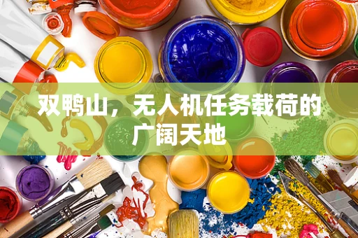 双鸭山，无人机任务载荷的广阔天地