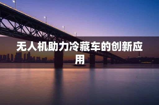 无人机助力冷藏车的创新应用