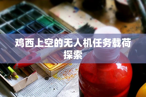 鸡西上空的无人机任务载荷探索