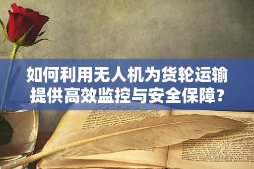 如何利用无人机为货轮运输提供高效监控与安全保障？