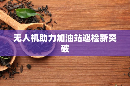 无人机助力加油站巡检新突破