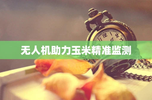无人机助力玉米精准监测