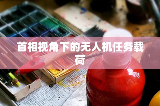 首相视角下的无人机任务载荷