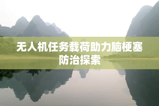 无人机任务载荷助力脑梗塞防治探索