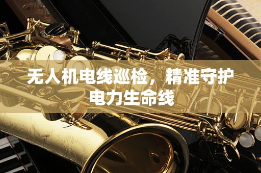 无人机电线巡检，精准守护电力生命线