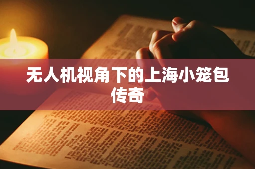无人机视角下的上海小笼包传奇