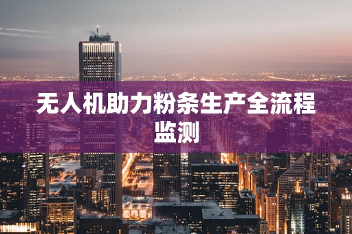 无人机助力粉条生产全流程监测