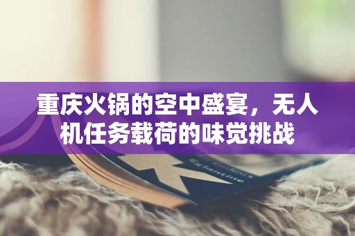 重庆火锅的空中盛宴，无人机任务载荷的味觉挑战