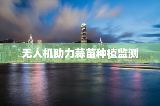 无人机助力蒜苗种植监测