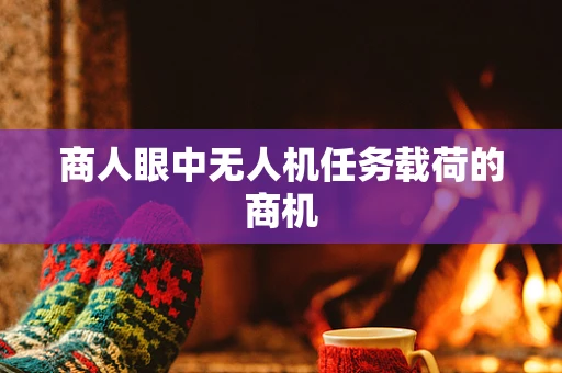 商人眼中无人机任务载荷的商机