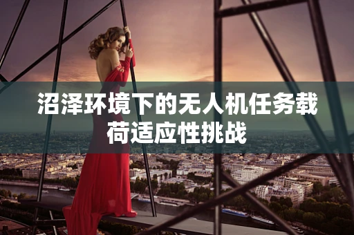 沼泽环境下的无人机任务载荷适应性挑战