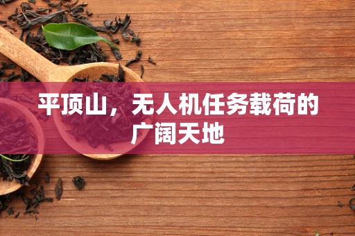 平顶山，无人机任务载荷的广阔天地