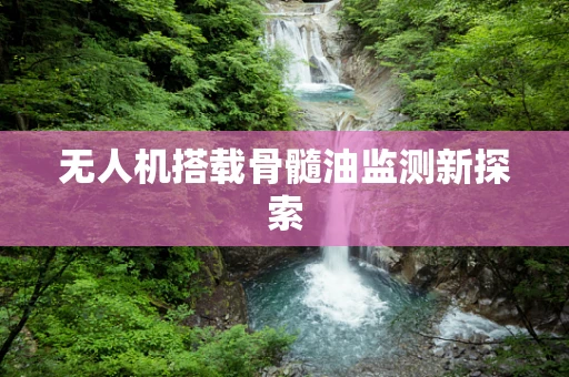 无人机搭载骨髓油监测新探索