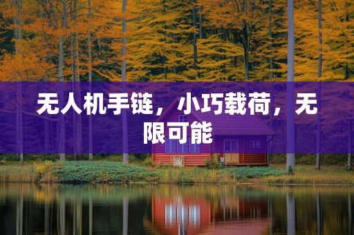 无人机手链，小巧载荷，无限可能