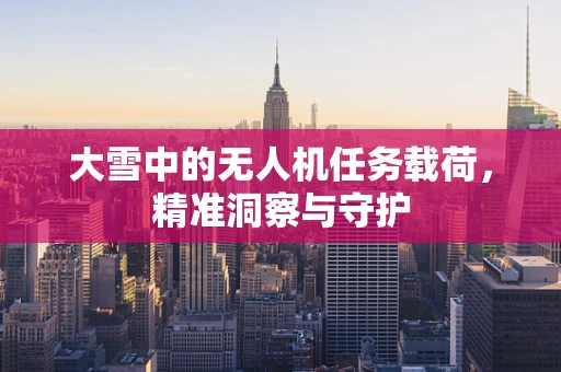 大雪中的无人机任务载荷，精准洞察与守护
