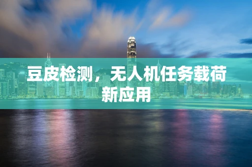 豆皮检测，无人机任务载荷新应用