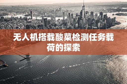无人机搭载酸菜检测任务载荷的探索