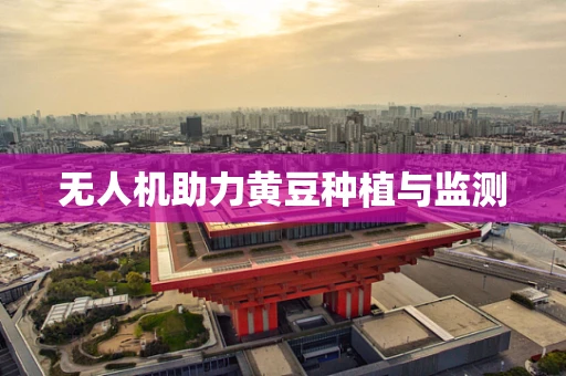 无人机助力黄豆种植与监测