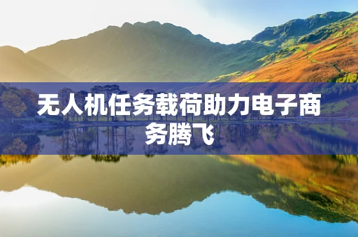 无人机任务载荷助力电子商务腾飞