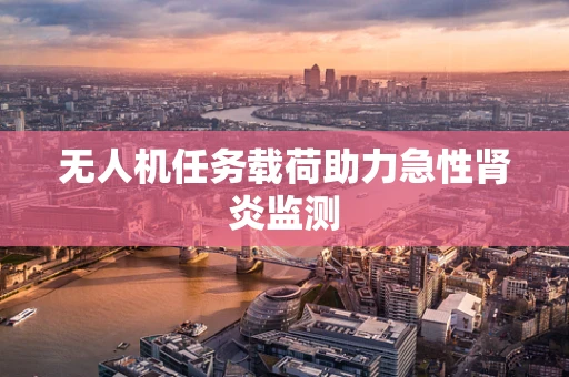 无人机任务载荷助力急性肾炎监测